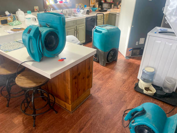 Best Water damage restoration insurance claims  in Coventry Lake, CT