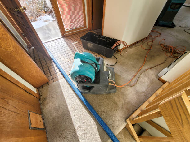 Best Water damage cleanup near me  in Coventry Lake, CT