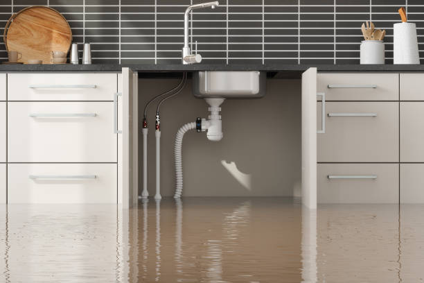 Best Water damage restoration near me  in Coventry Lake, CT