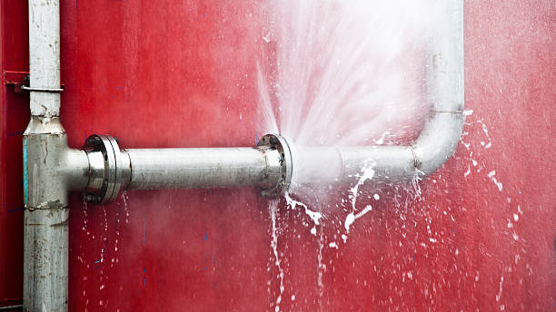 Best Flood damage cleanup  in Coventry Lake, CT